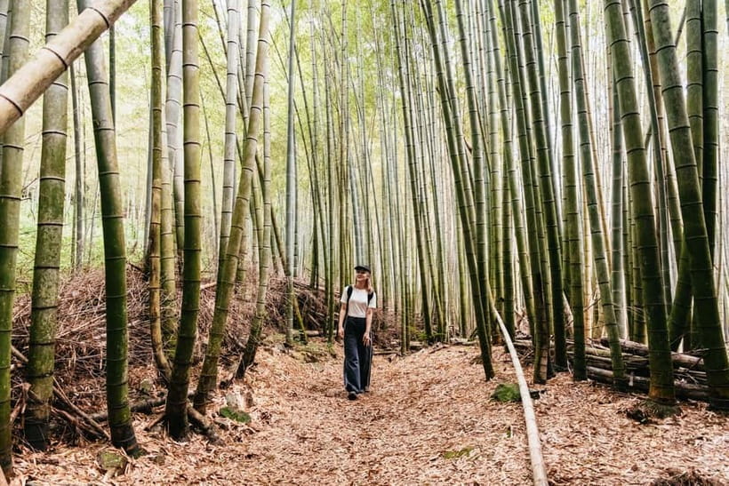 Kyoto: 3-Hour Fushimi Inari Shrine Hidden Hiking Tour - Why this route changes Fushimi Inari