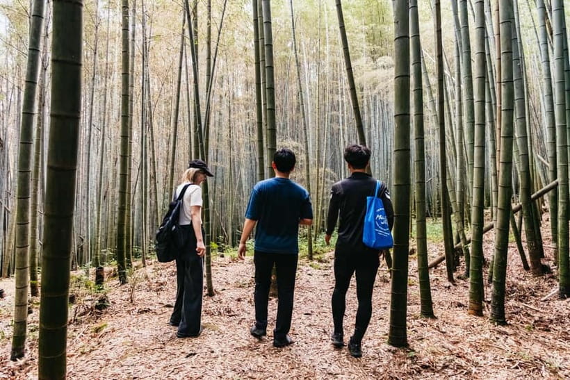 Kyoto: 3-Hour Fushimi Inari Shrine Hidden Hiking Tour - Climbing Mount Inari to the summit