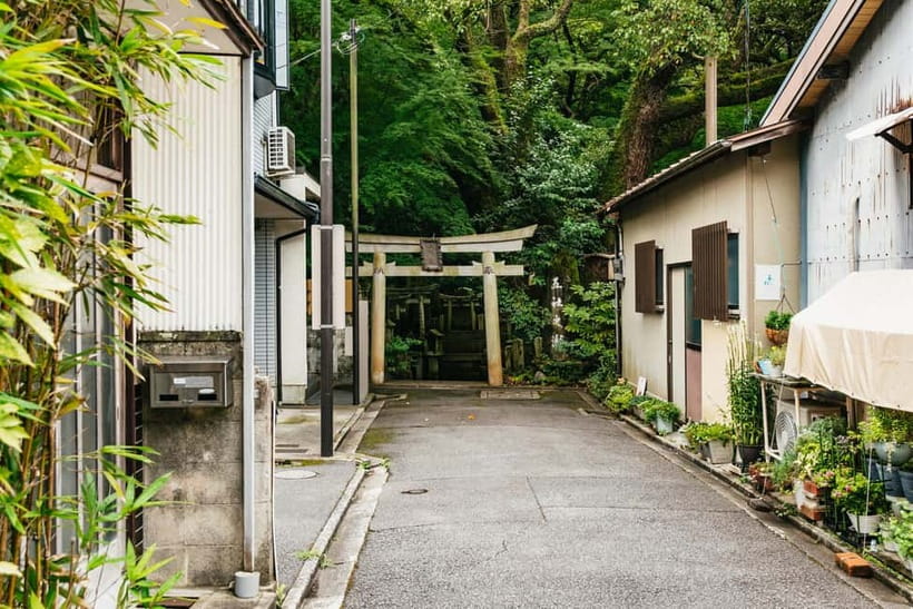 Kyoto: 3-Hour Fushimi Inari Shrine Hidden Hiking Tour - What the guides add