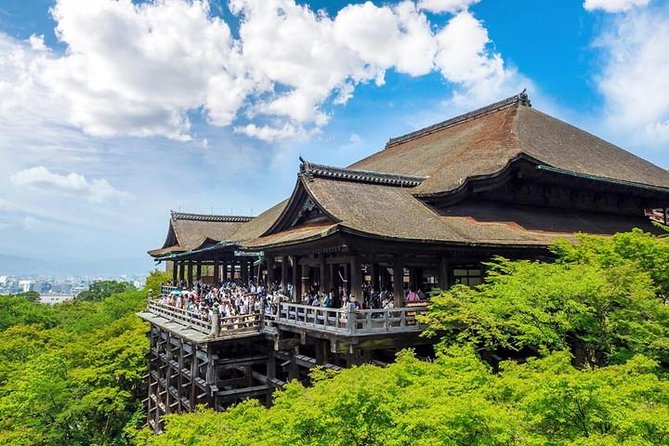 Kyoto 4hr Private Tour with Government-Licensed Guide - Nijo Castle and the Tokugawa shoguns