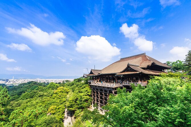 Kyoto 6hr Instagram Highlights Private Tour with Licensed Guide - Bamboo Forest Street, Kyoto’s most familiar photo stop