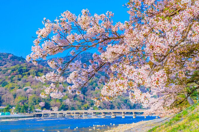Kyoto 6hr Instagram Highlights Private Tour with Licensed Guide - Gion, geisha tradition, and an easy time trap