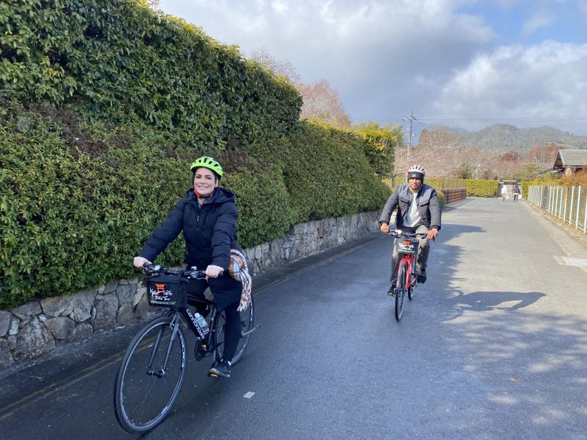Kyoto: Afternoon Bamboo Forest and Monkey Park Bike Tour - Is the $106 price fair?