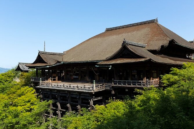 Kyoto Afternoon Tour from Kyoto or Osaka - Guides make the difference