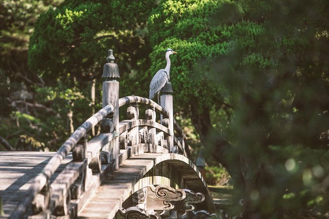 Kyoto and Nara Day Trip from Kyoto - Kinkaku-ji and Kyoto’s famous golden reflection