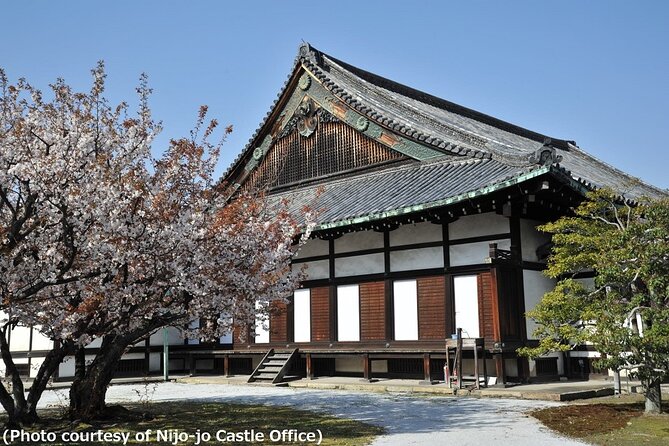 Kyoto and Nara Day Trip from Osaka - The early start and rail connection