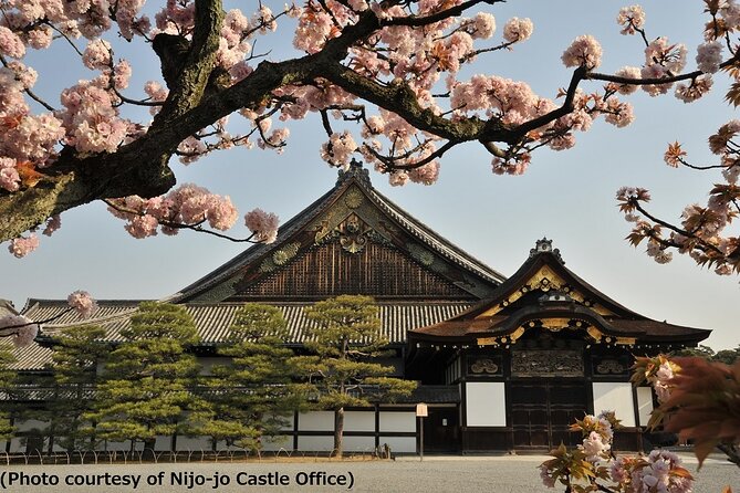 Kyoto and Nara Day Trip from Osaka - Nijo Castle and the sound of history