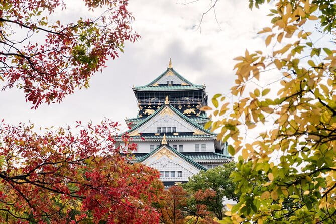 Kyoto and Nara UNESCO Highlights Full-day Tour From Osaka - Nara Park and Todaiji before the day ends