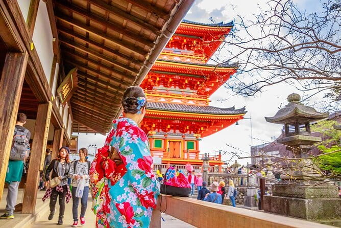Kyoto and Nara UNESCO Highlights Full-day Tour From Osaka - Starting at Nipponbashi or Kyoto Station