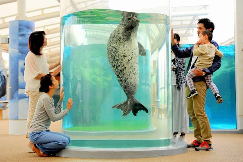 Kyoto Aquarium Admission Ticket - Starting in Umekoji Park