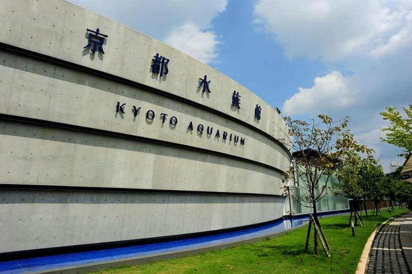 Kyoto Aquarium Admission Ticket - Practical rules that shape the visit