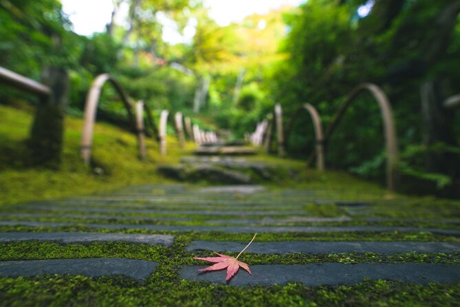 Kyoto Arashiyama Bamboo forest & Garden Half-Day Walking Tour - Tenryuji Temple puts Arashiyama in context