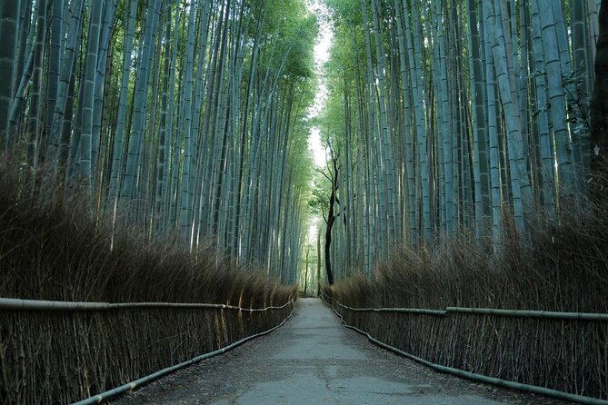 Kyoto Arashiyama Bamboo Forest Hiking Tour（Hidden Temples） - Key points to know before you book