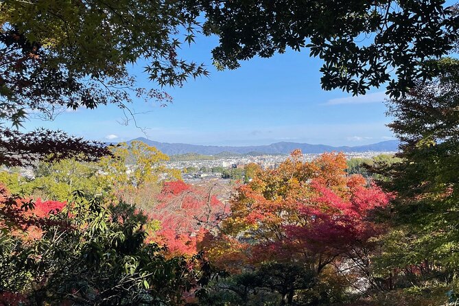 Kyoto Arashiyama Bamboo Forest Hiking Tour（Hidden Temples） - Why this Arashiyama walk is more than a bamboo-forest visit