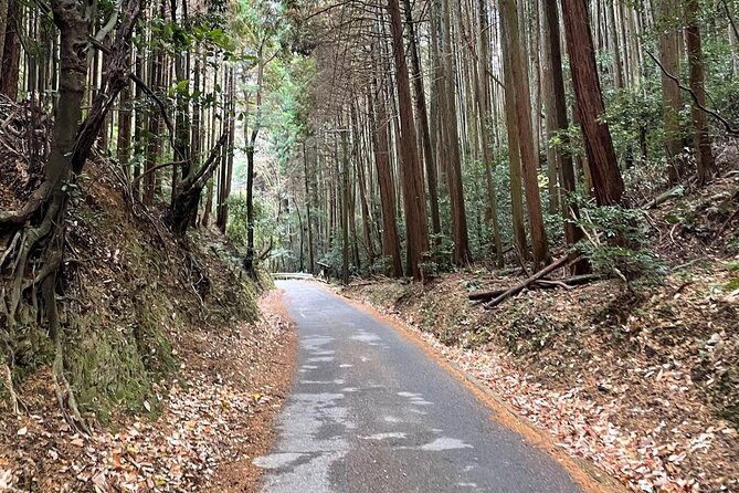 Kyoto Arashiyama Bamboo Forest Hiking Tour（Hidden Temples） - Adashino Nenbutsu-ji and its 8,000 statues