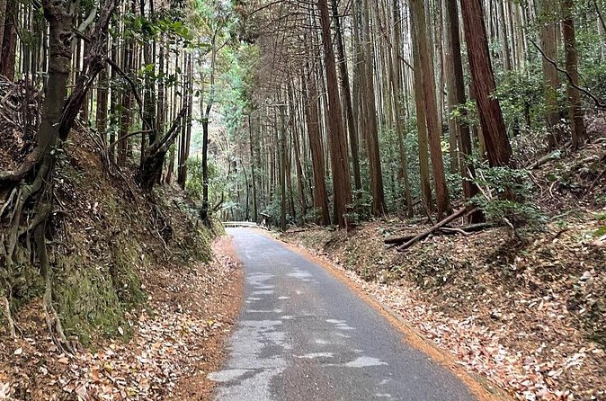 Kyoto Arashiyama Bamboo Forest Hiking Tour（Hidden Temples） - What the small group changes