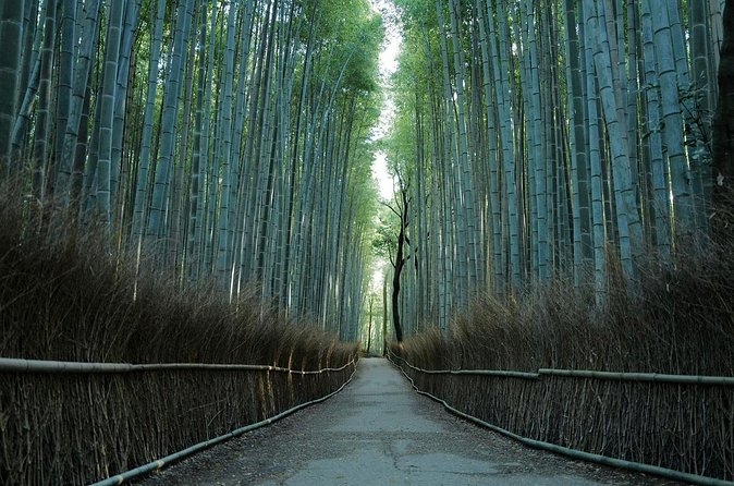 Kyoto Arashiyama Bamboo Forest Hiking Tour（Hidden Temples） - Is $52.71 a fair price?