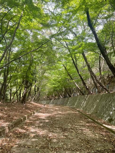 Kyoto: Arashiyama Bamboo Forest Hiking Tour - Practical preparation for the morning