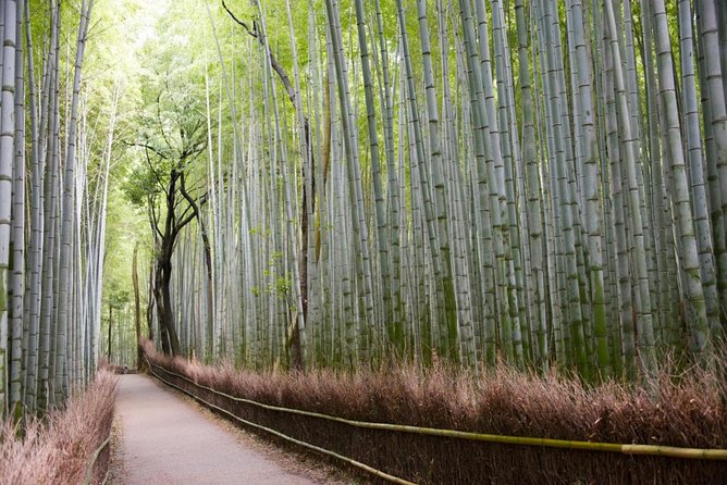 Kyoto Arashiyama Bamboo Forest & Scenery Customized Private Tour - Tenryu-ji, Kyoto’s major Zen temple