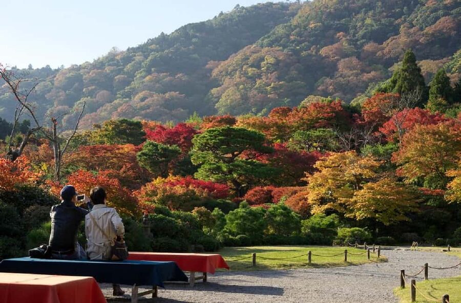 Kyoto: Arashiyama Bamboo Grove 3-Hour Guided Tour - Why Arashiyama works well for a short guided tour