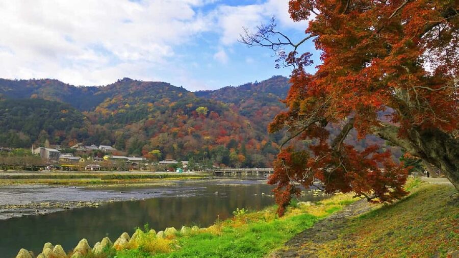 Kyoto: Arashiyama Bamboo Grove 3-Hour Guided Tour - Who should book this Arashiyama walk?