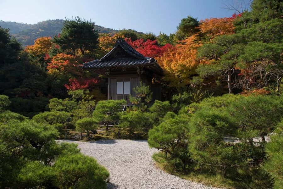Kyoto: Arashiyama Bamboo Grove 3-Hour Guided Tour - Tenryuji Temple and the value of included admission