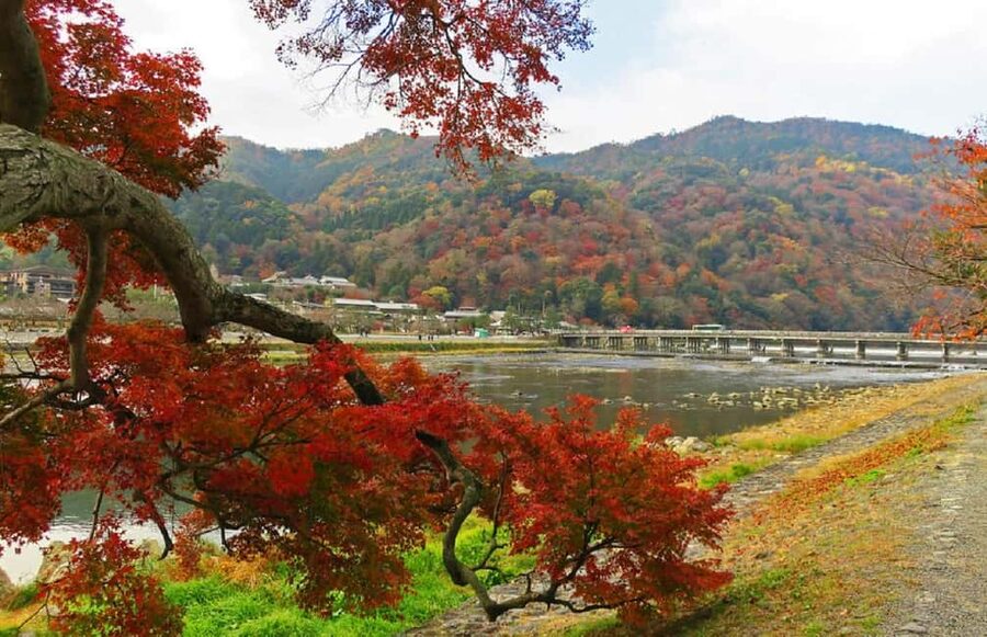 Kyoto: Arashiyama Bamboo Grove 3-Hour Guided Tour - Okochi Sanso and the mountain views