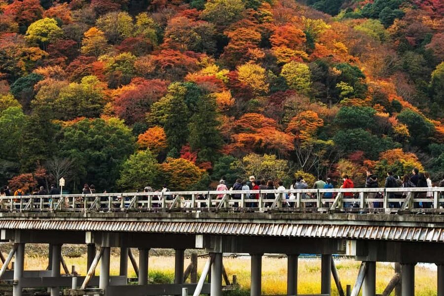 Kyoto: Arashiyama Bamboo Grove 3-Hour Guided Tour - Kimono Forest near the station