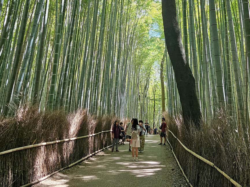 Kyoto: Arashiyama Bamboo Grove 3-Hour Guided Tour - What the small group changes