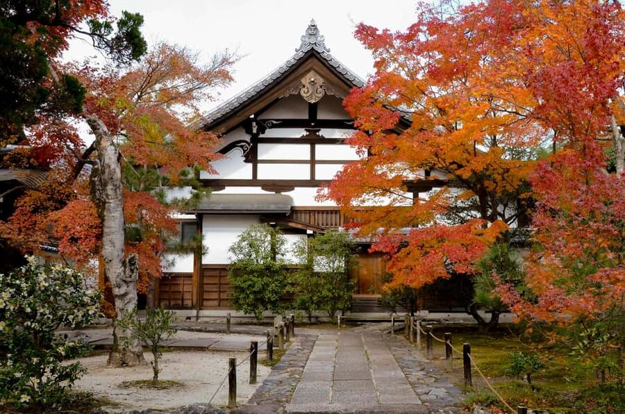 Kyoto: Arashiyama Bamboo Grove 3-Hour Guided Tour - Walking through the Sagano Bamboo Grove