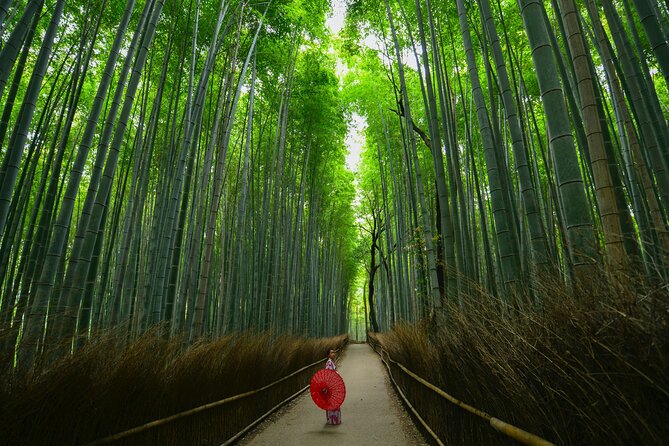 Kyoto: Arashiyama Bamboo, Temple, Matcha, Monkeys & secret spots - Arashiyama shopping street with local help