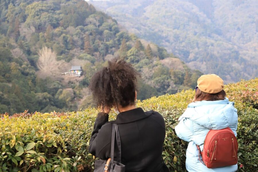 Kyoto Arashiyama Customized Private Tour - Monkey Park and the nature option