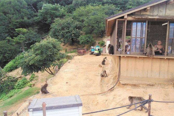 Kyoto Arashiyama & Golden Pavilion One-Day Walking Tour - Why this route works for a first day in Kyoto