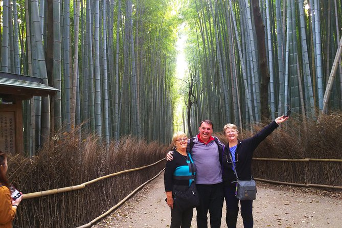 Kyoto Arashiyama & Golden Pavilion One-Day Walking Tour - Walking through the Bamboo Forest Street