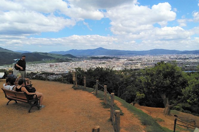Kyoto Arashiyama & Golden Pavilion One-Day Walking Tour - Monkey Park Iwatayama and the first climb