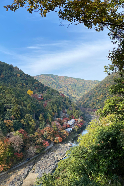 Kyoto: Arashiyama Guided Tour, Bamboo, Monkey, Zen Temple - Key points at a glance