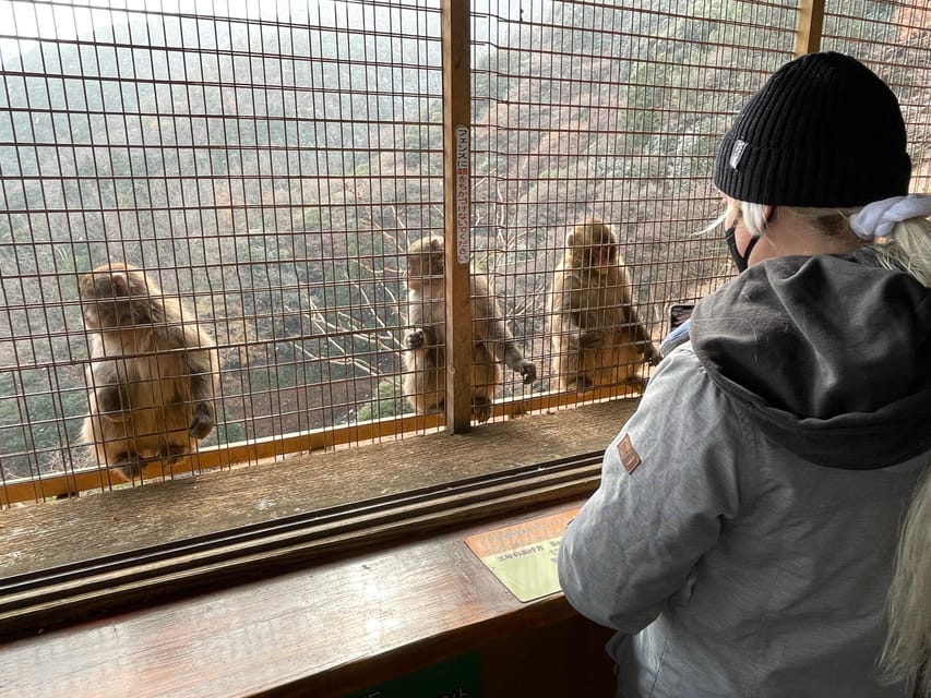 Kyoto: Arashiyama Guided Tour, Bamboo, Monkey, Zen Temple - Walking beneath the Bamboo Forest