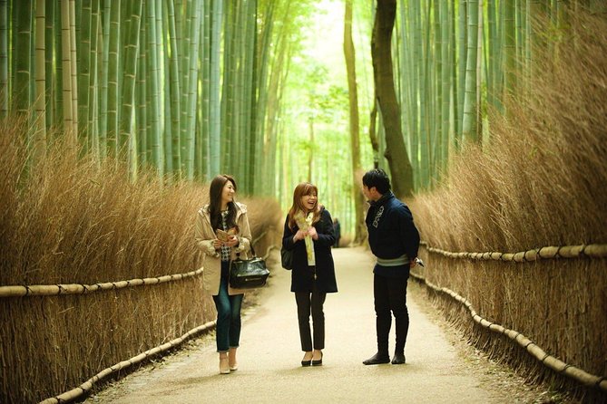 Kyoto Arashiyama Rickshaw Tour with Bamboo Forest - Why a rickshaw works well in Arashiyama