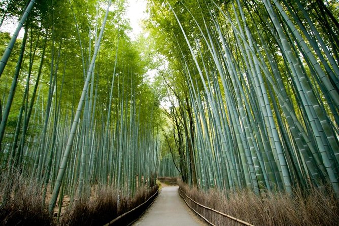 Kyoto Arashiyama & Sagano Bamboo Private Tour with Government-Licensed Guide - Starting at Togetsukyo Bridge and Arashiyama