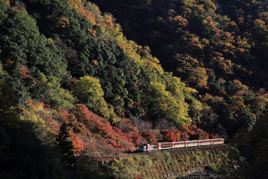 Kyoto: Arashiyama Tour with optional Sagano Romantic Train - Why Arashiyama works well in a half-day