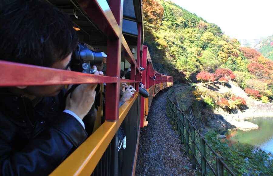 Kyoto: Arashiyama Tour with optional Sagano Romantic Train - What the guides add