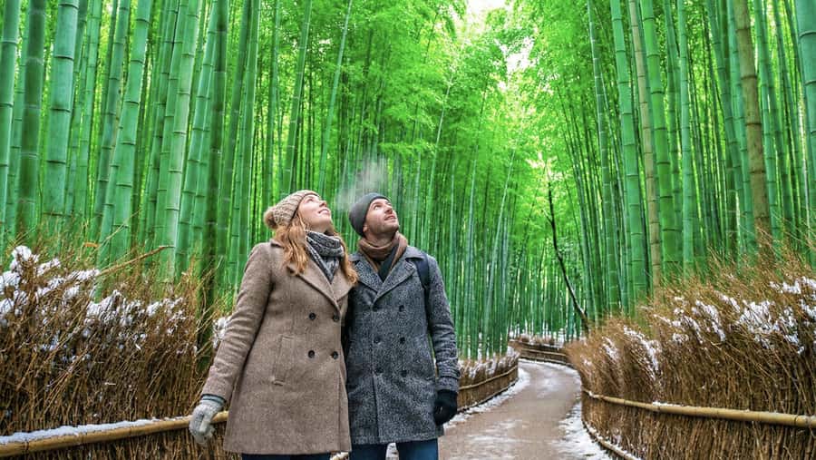 Kyoto: Arashiyama Unveiled Bamboo, Temple, Matcha, & Monkeys - Key points at a glance