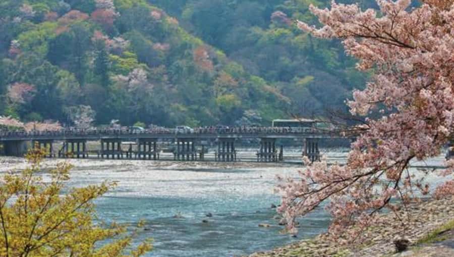 Kyoto: Arashiyama Unveiled Bamboo, Temple, Matcha, & Monkeys - Friendly guides are a major part of the value