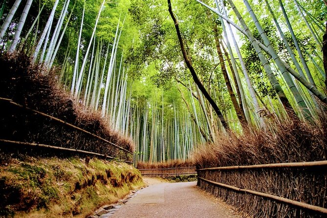 Kyoto Arashiyama Walking Tour: Bamboo, Monkeys, Gardens & Secrets - Okochi Sanso Garden beyond the bamboo