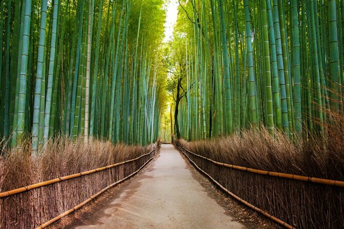 Kyoto Arashiyama Walking Tour: Bamboo, Monkeys, Gardens & Secrets - Monkey Park Iwatayama: the day’s toughest and liveliest stop