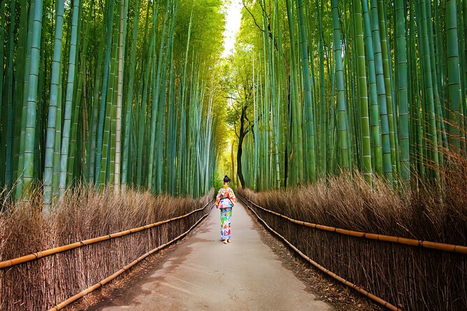 Kyoto Arashiyama Walking Tour: Bamboo, Monkeys, Gardens & Secrets - Getting the meeting point right