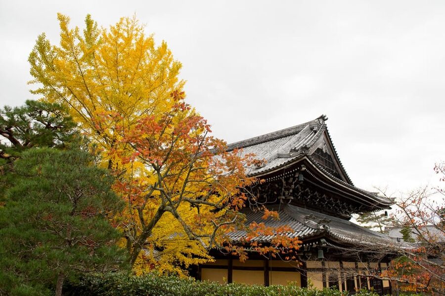Kyoto: Authentic Biking Half Day Experience - Riding beside the Philosopher’s Path