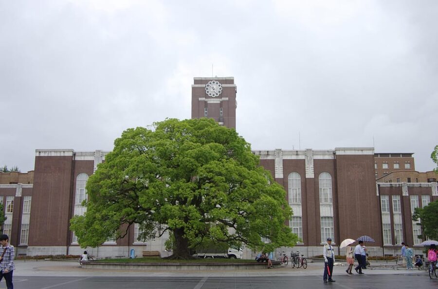 Kyoto: Authentic Biking Half Day Experience - The Imperial Palace as a spacious finale