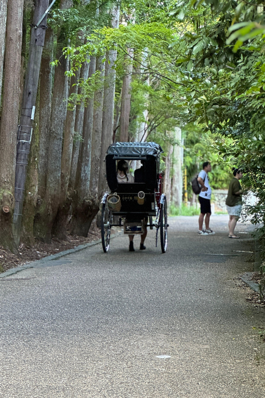 Kyoto: Avoid the Crowds at the Hidden Gems of Arashiyama - Key points to know before booking