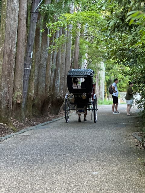 Kyoto: Avoid the Crowds at the Hidden Gems of Arashiyama - Why this Arashiyama walk feels different